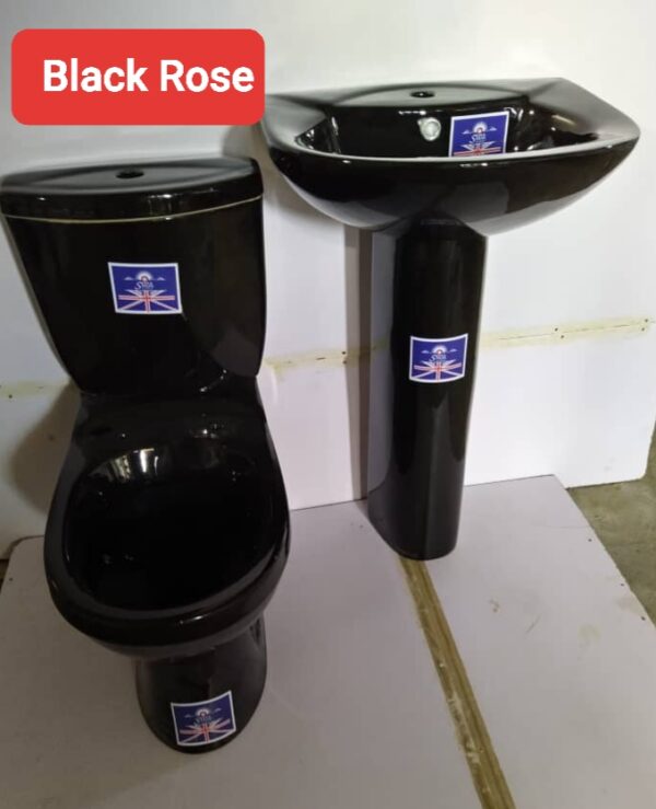 England Medium Designer Water Closet in C-Black - Model BT-CC09B-02