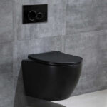 Matte Black Executive Round Pan Concealed Toilet
