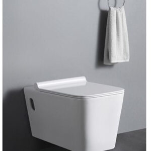 Super Executive Conduit Water Closet - Model BT365-TCT3