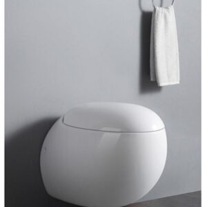 Super Executive Conduit Toilet - Model BT365-TCT4