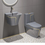 Gold and Grey Luxury WC