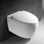 Super Executive Conduit Water Closet - Model BT365-TCT6