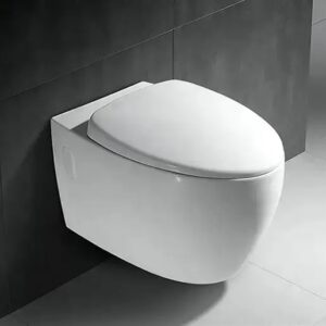 Super Executive Conduit Water Closet - Model BT365-TCT6