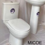 Standard Micoe Water Closet Set